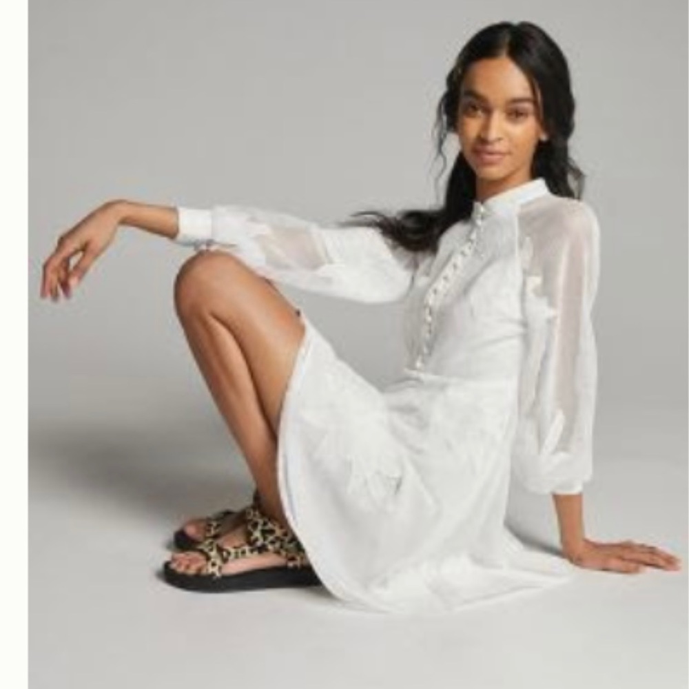 Anthropologie Sabine embroidered mini dress.